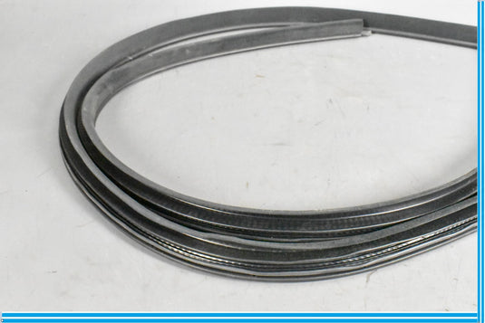 09-13 Maserati Quattroporte M139 Front Right Door Weatherstrip Rubber Seal Oem