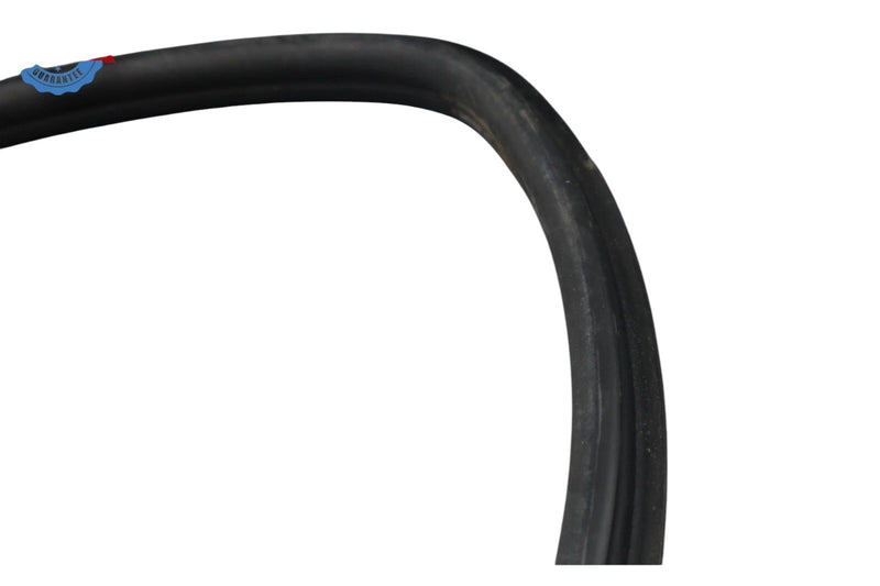 Load image into Gallery viewer, 02-05 Ford Thunderbird Left Driver Side Door Seal Rubber 1W63762070B OEM
