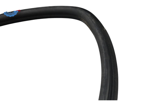 02-05 Ford Thunderbird Left Driver Side Door Seal Rubber 1W63762070B OEM