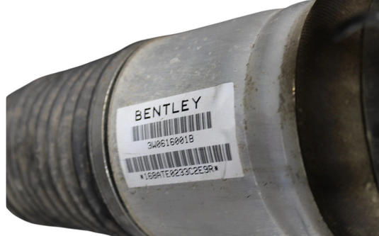03-10 Bentley Continental Rear Left Driver Air Ride Air Shock Strut Absorber Oem