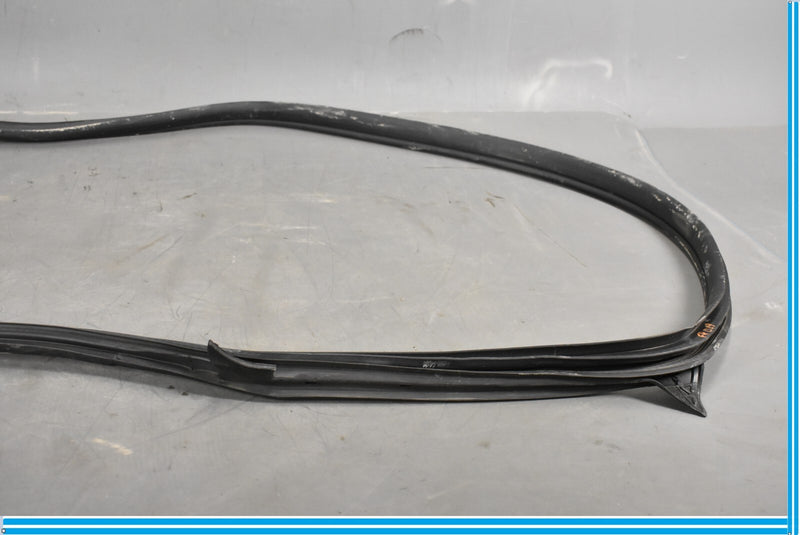 Load image into Gallery viewer, 12-18 Mercedes CLS550 W219 Front Right Passenger Door Whether Strip Seal Oem
