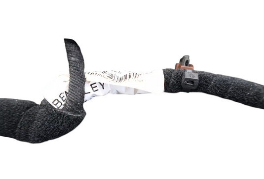 06-13 Bentley Continental Rear Left Driver Side Interior Door Cover Panel Oem