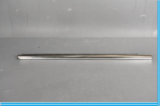 00-06 Mercedes S500 S600 W220 Front Left Driver Door Rub Strip Molding Oem