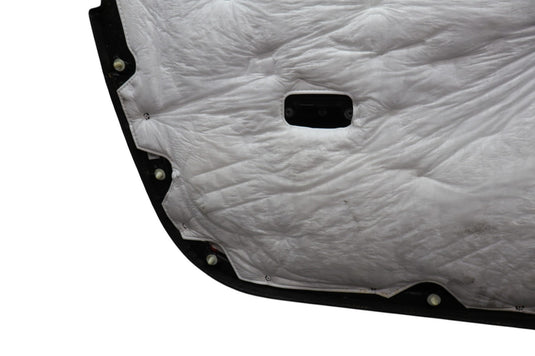 15-20 Hyundai Genesis G80 Front Right Passenger Side Interior Door Panel Oem