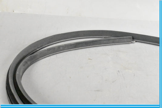 09-13 Maserati Quattroporte M139 Front Right Door Weatherstrip Rubber Seal Oem