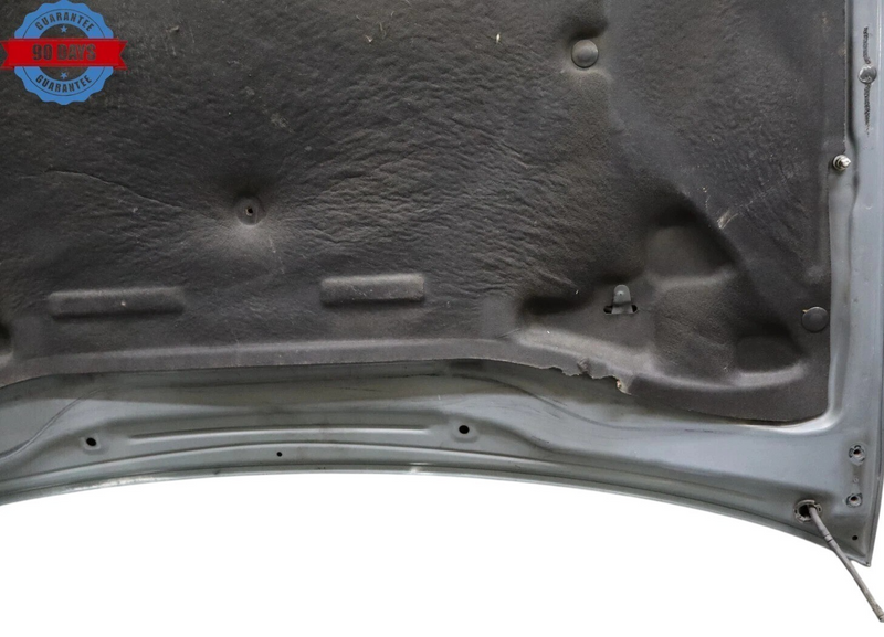 Load image into Gallery viewer, 01-03 Lexus LS430 UCF30L Front Hood Bonnet Panel Assembly 53301-50050 OEM
