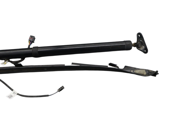 Load image into Gallery viewer, 11-17 Volkswagen Touareg Rear Left Trunk Lift Cylinder Support Shock Strut Oem
