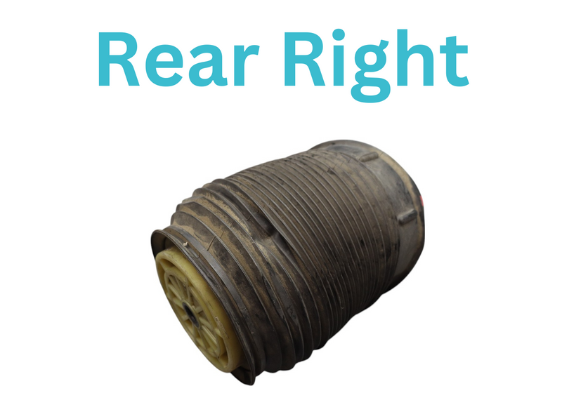 Load image into Gallery viewer, 10-18 Mercedes CLS63 AMG CLS550 Rear Right Side Air Suspension Bag Shock Oem
