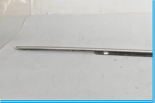 00-06 Mercedes S55 AMG S500 Rear Right Door Window Weather strip Seal Oem