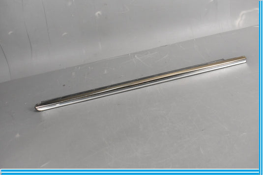 00-06 Mercedes S500 S600 W220 Front Left Driver Door Rub Strip Molding Oem