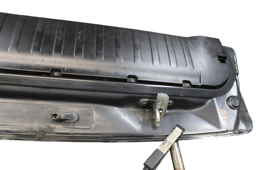 07-13 BMW X5 E70 Rear Lower Bottom Trunk Liftgate Door Lid Hatch Black Oem