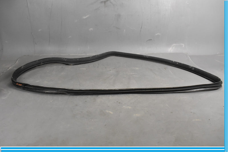 Load image into Gallery viewer, 12-18 Mercedes CLS550 W219 Rear Right Passenger Door Whether Strip Seal Oem
