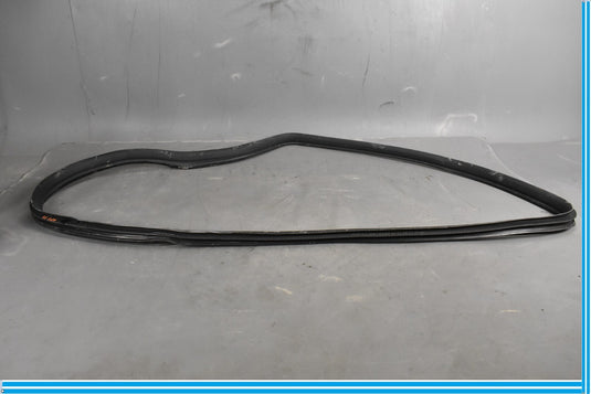 12-18 Mercedes CLS550 W219 Rear Right Passenger Door Whether Strip Seal Oem