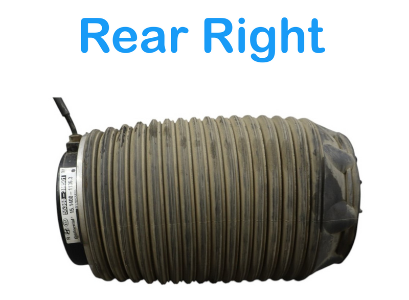 Load image into Gallery viewer, 11-16 Hyundai Equus Rear Right Side Air Suspension Spring 553603M501 Oem
