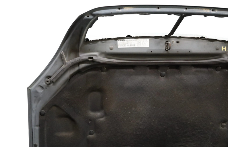 Load image into Gallery viewer, 01-03 Lexus LS430 UCF30L Front Hood Bonnet Panel Assembly 53301-50050 OEM
