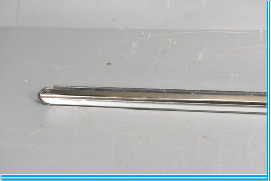 00-06 Mercedes S500 S600 W220 Front Left Driver Door Rub Strip Molding Oem