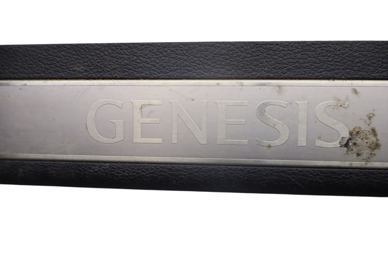 Load image into Gallery viewer, 15-20 Hyundai Genesis G80 Front Left Driver Side Door Sill Scuff Plate Trim Oem
