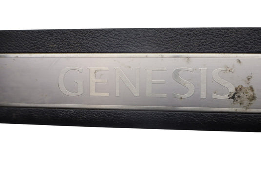 15-20 Hyundai Genesis G80 Front Left Driver Side Door Sill Scuff Plate Trim Oem