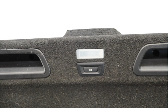 10-17 BMW 535i GT xDrive Rear Trunk Lid Liner Trim Panel  W/Switch 52107010 Oem