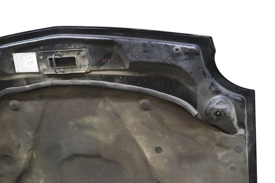 02-05 Ford Thunderbird 3.9L V8 Front Hood Bonnet Cover Shell Panel Assembly Oem