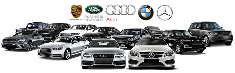 Sutter Imports