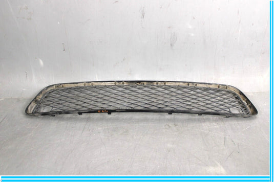 07-10 BMW X5 E70 Front Bumper Lower Center Grille Oem