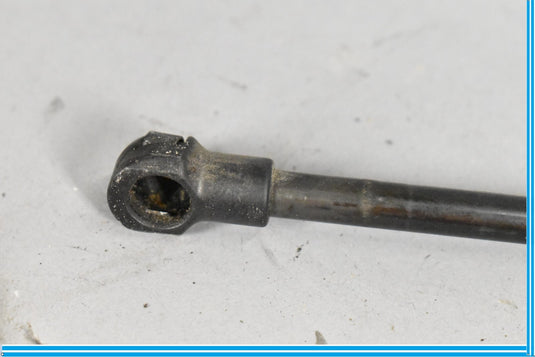 03-12 Bentley Continental Hood Lift Shock Damper 3W0823475B Oem