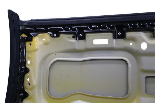 09-16 BMW E89 Z4 Top Upper Hard Top Roof Panel Cover Yellow 41007222077 Oem