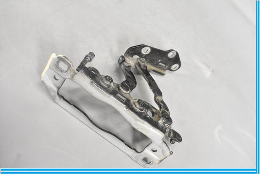 08-18 Mercedes CLS550 E400 Front Left Driver Hood Hinge A2048800728 Oem
