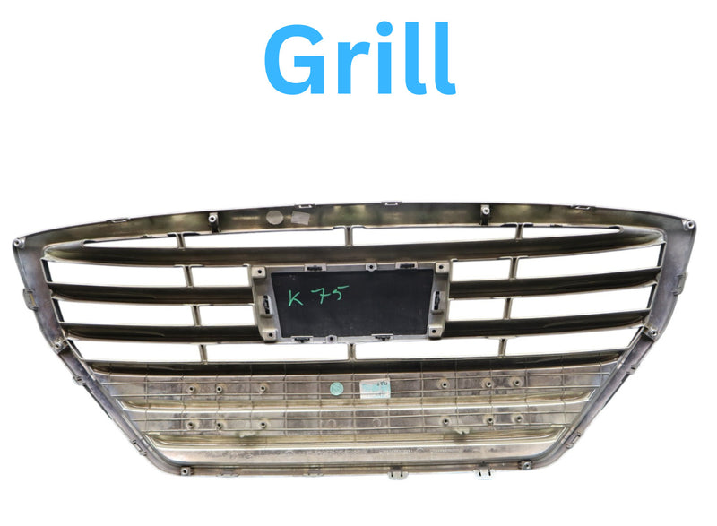 Load image into Gallery viewer, 15-17 Hyundai Genesis Front Radiator Grille Grill Assembly Silver 86851B1400 Oem
