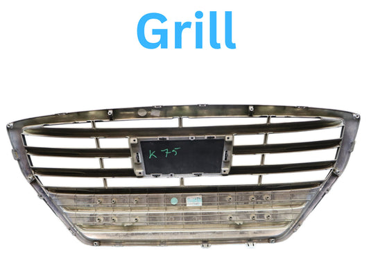 15-17 Hyundai Genesis Front Radiator Grille Grill Assembly Silver 86851B1400 Oem