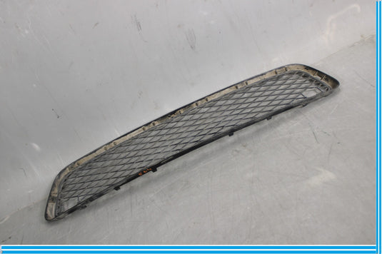07-10 BMW X5 E70 Front Bumper Lower Center Grille Oem