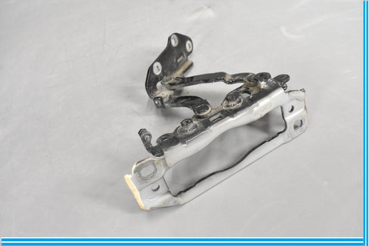 08-18 Mercedes CLS550 E400 Front Left Driver Hood Hinge A2048800728 Oem