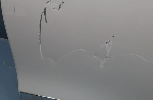 11-20 Infiniti QX56 QX80 Rear Left Driver Side Door Shell Panel Cover Oem