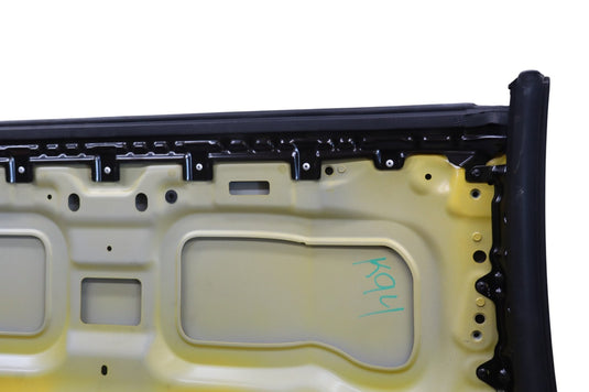 09-16 BMW E89 Z4 Top Upper Hard Top Roof Panel Cover Yellow 41007222077 Oem