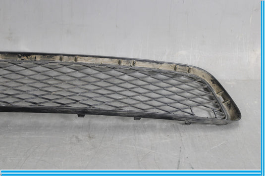 07-10 BMW X5 E70 Front Bumper Lower Center Grille Oem
