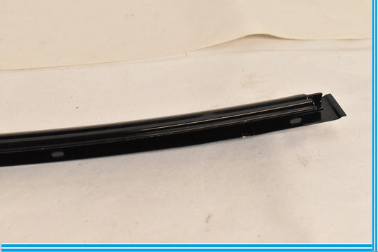 09-15 BMW 750i 750Li F02 F01 Rear Left Door Window Glass Guide Channel Oem