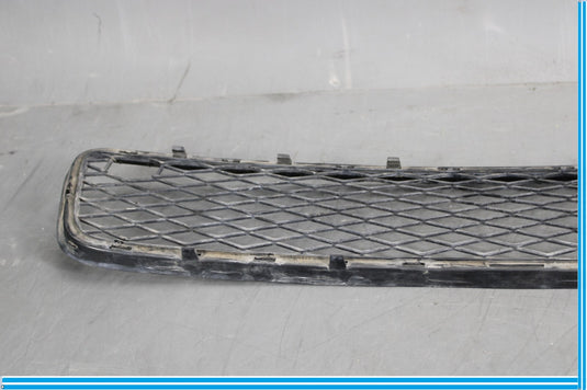 07-10 BMW X5 E70 Front Bumper Lower Center Grille Oem