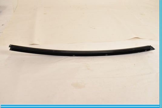 09-15 BMW 750i 750Li F02 F01 Rear Left Door Window Glass Guide Channel Oem