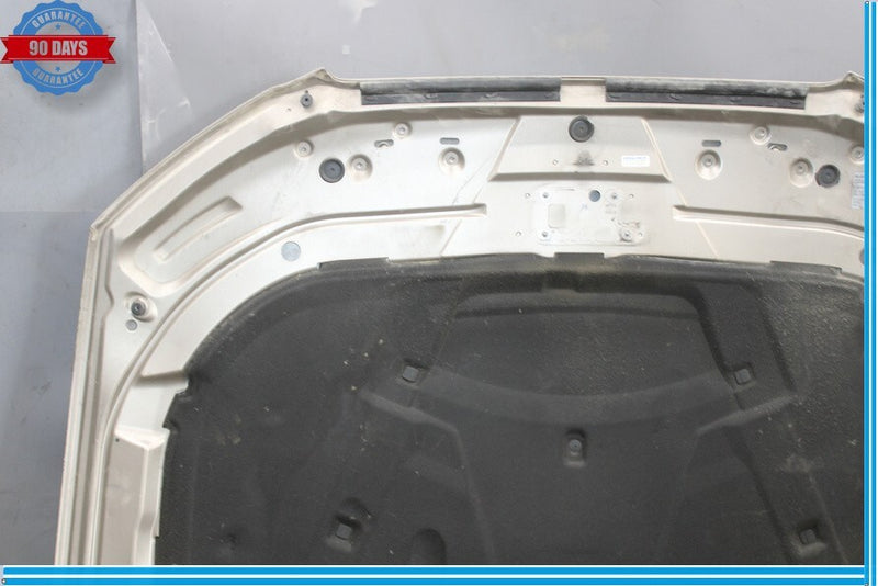 Load image into Gallery viewer, 08-12 Audi A5 A5 Quattro Front Hood Bonnet Shell Cover Panel 8T0823029D Oem

