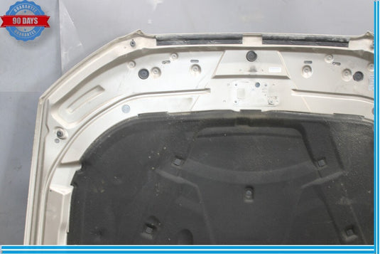 08-12 Audi A5 A5 Quattro Front Hood Bonnet Shell Cover Panel 8T0823029D Oem