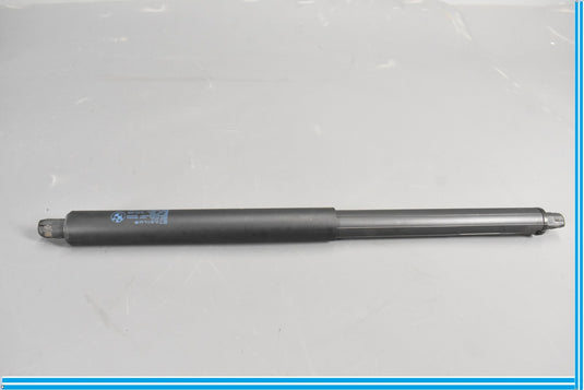 07-13 BMW X5 E70 Rear Trunk Hatch Liftgate Strut Shock 51247177283 Oem