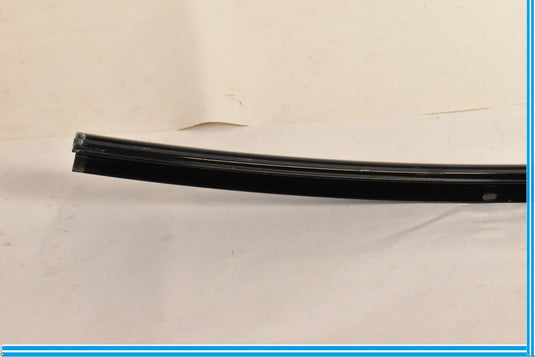 09-15 BMW 750i 750Li F02 F01 Rear Left Door Window Glass Guide Channel Oem